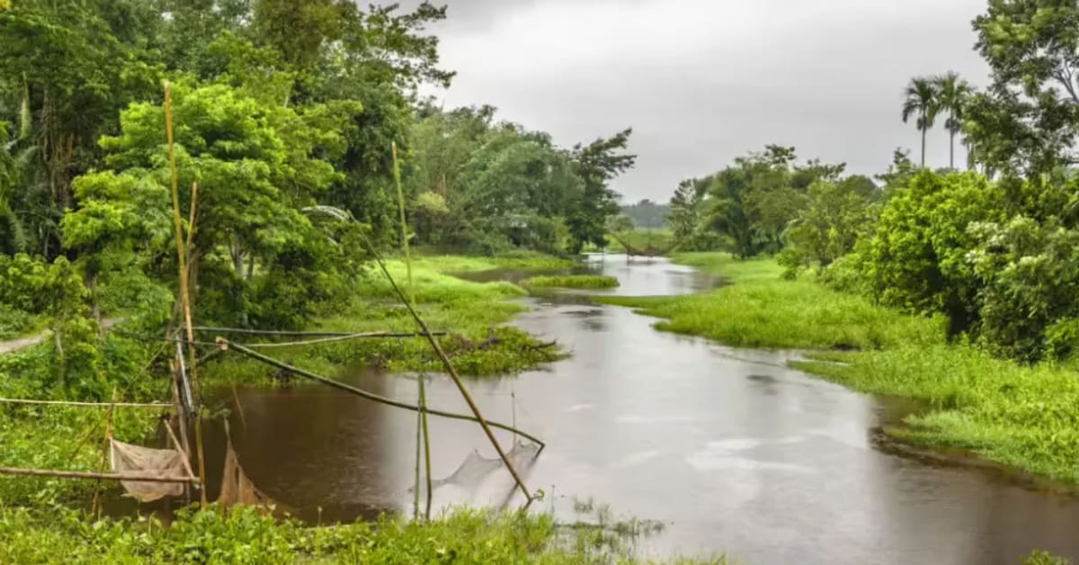 Assam's Majuli Island Sees 493% Rise in Travel Searches - Image 3