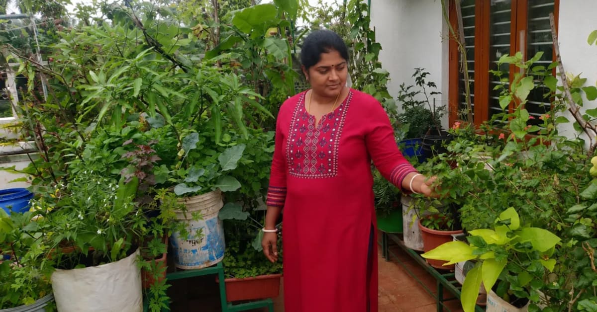 Bengaluru Woman Grows 1,000 Sq Ft Terrace Garden from Scratch - Image 3