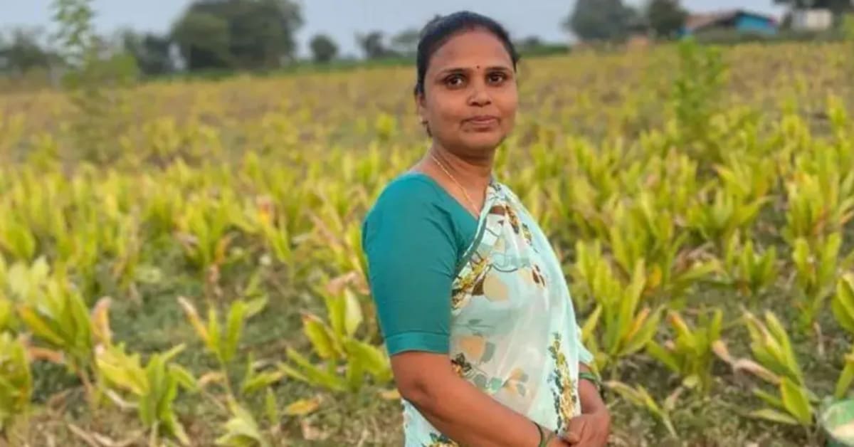 Indian Farmer Makes $14,000 Growing Turmeric at Home - Image 2