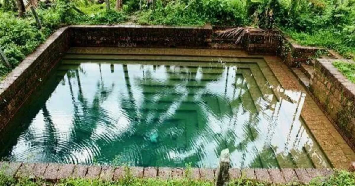 Kerala's Ancient Temple Ponds Are Solving Water Crises - Image 2
