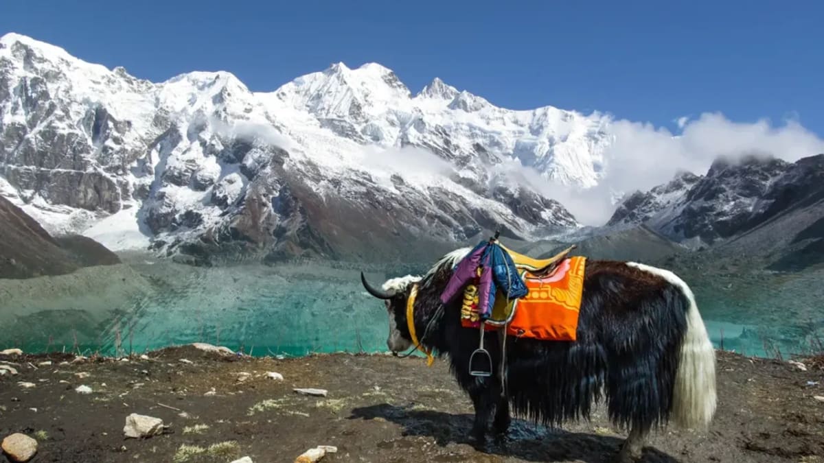 Sikkim Banned Plastic Bags in 1998, Now India's Cleanest - Image 4