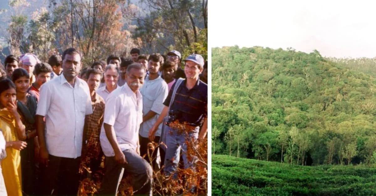 27 Years Protecting India's Nilgiris Forest Brings Revival - Image 2
