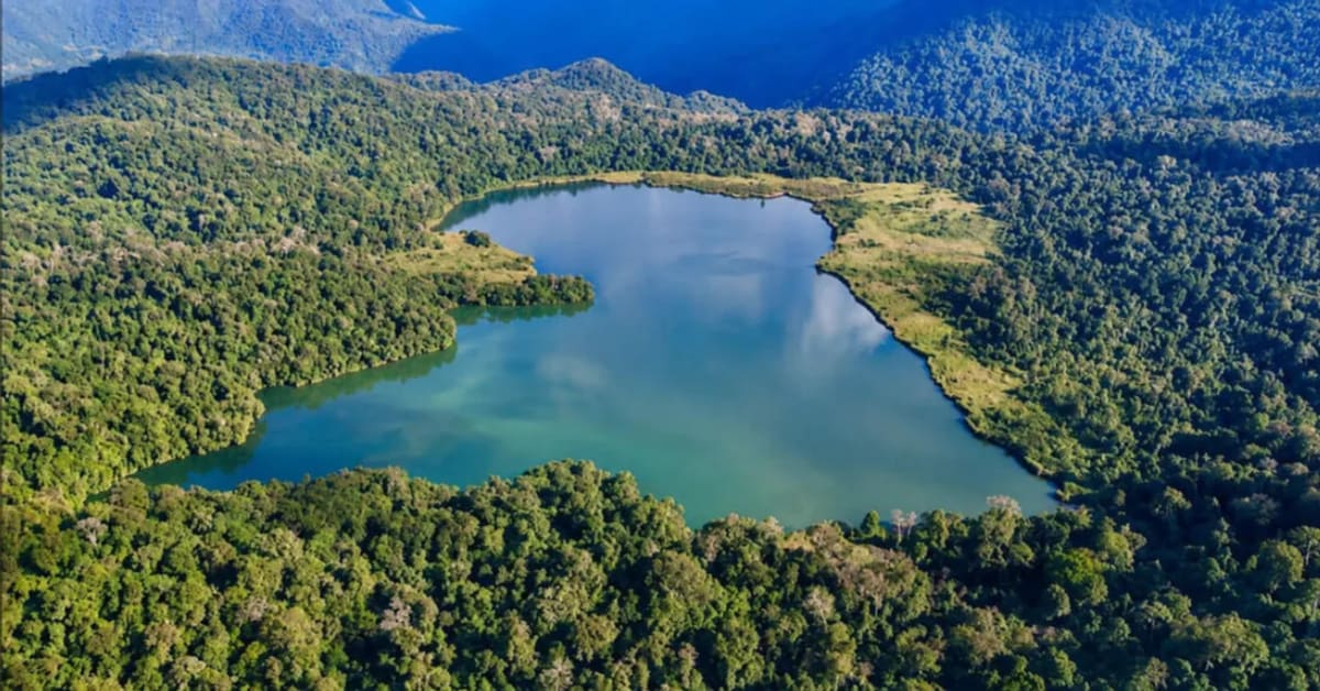 India's 101st Ramsar Wetland Shows Why Every Lake Matters - Image 2