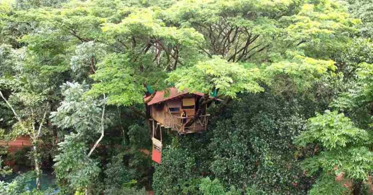 200-Year-Old Karnataka Farm Teaches Organic Living in Style - Image 3