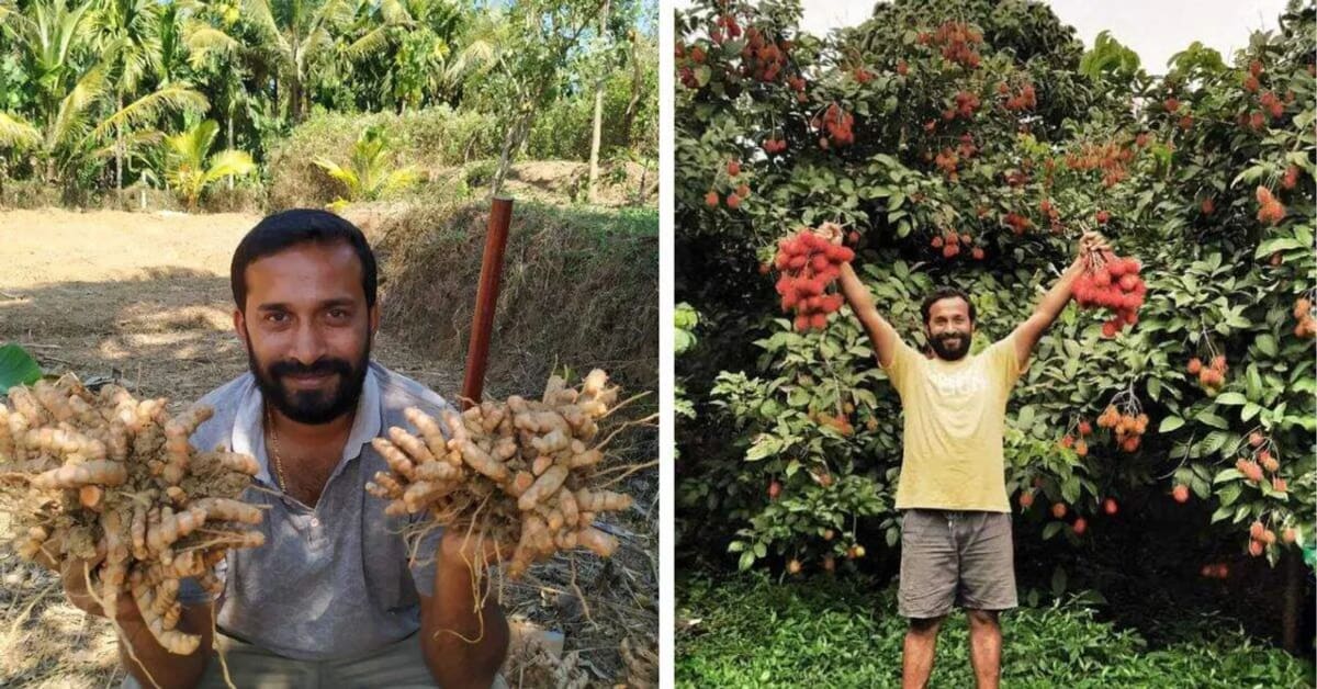 Ex-Corporate Worker Now Earns $18K Farming Exotic Fruits - Image 4