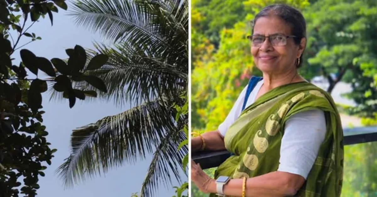 India's Rooftop Gardens Cool Homes 4°C, Feed Families - Image 5