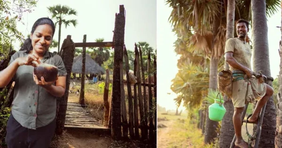 Mumbai Boy, 2, Learns Nature's Cycle Through Composting - Image 5