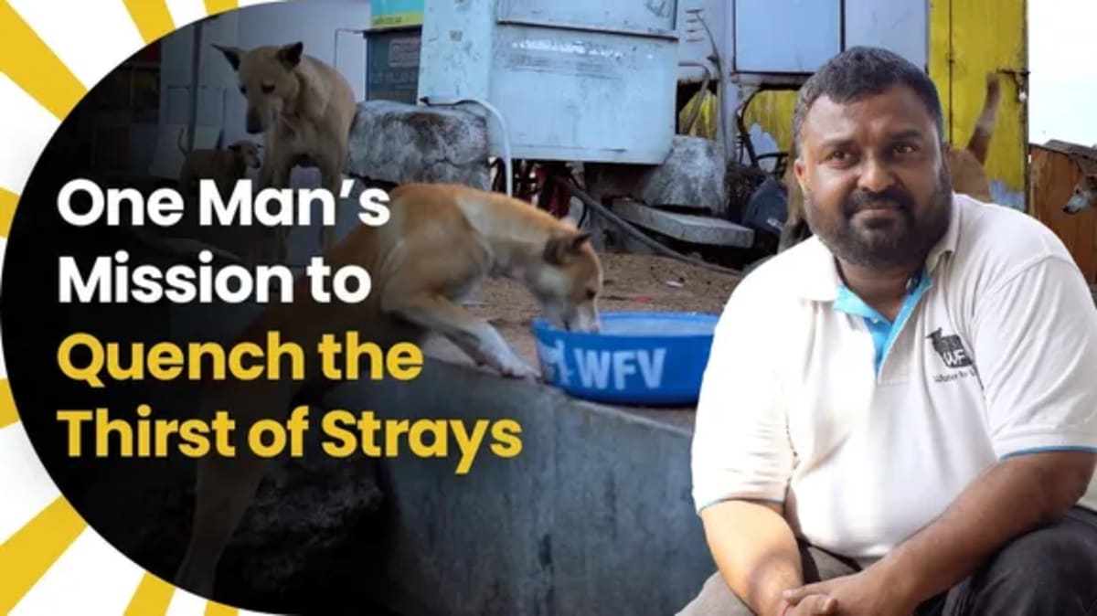 Hyderabad Market Turns Waste Into Power, Feeds 600 Daily - Image 4