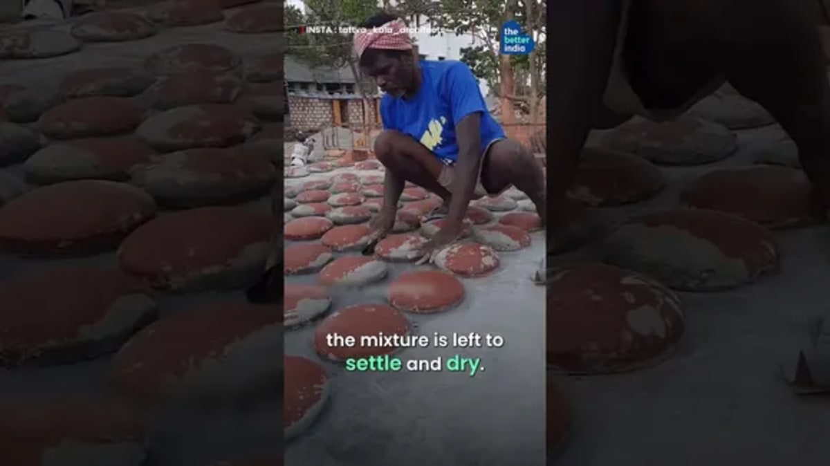 Mumbai: Man Restores Mangroves for 200 Weeks Straight - Image 4