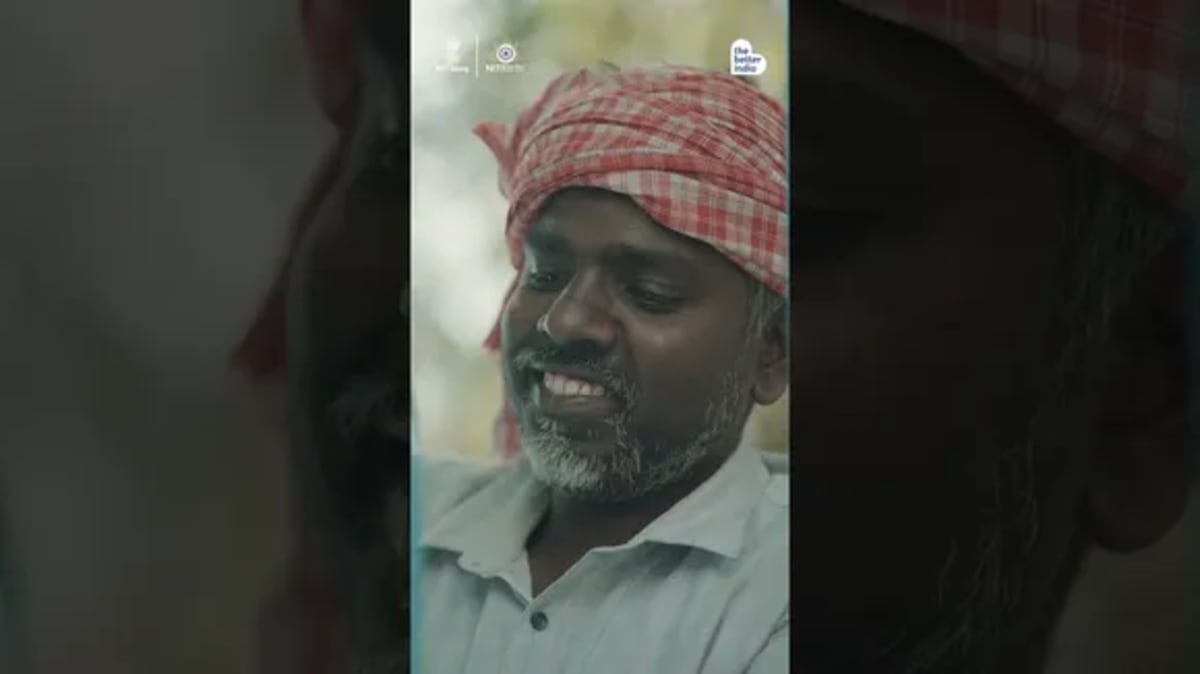 Mumbai: Man Restores Mangroves for 200 Weeks Straight - Image 3