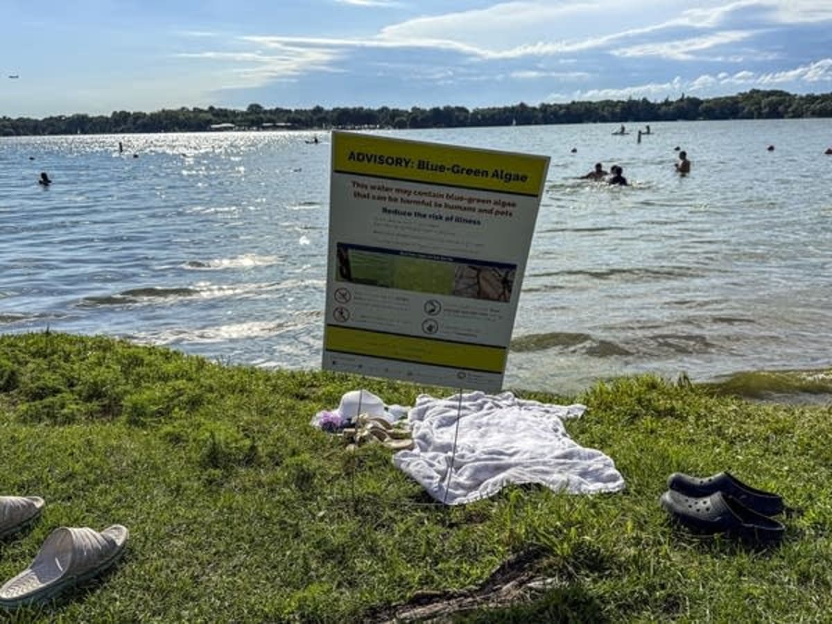 Minnesota Tests Clay Treatment to Stop Toxic Algae Blooms - Image 3