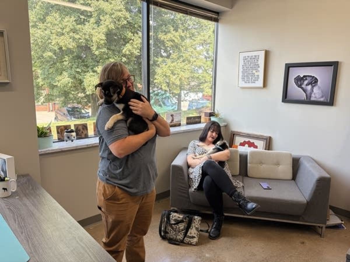 Minnesota Offers Free Pet Foster Care During Addiction Treatment - Image 4