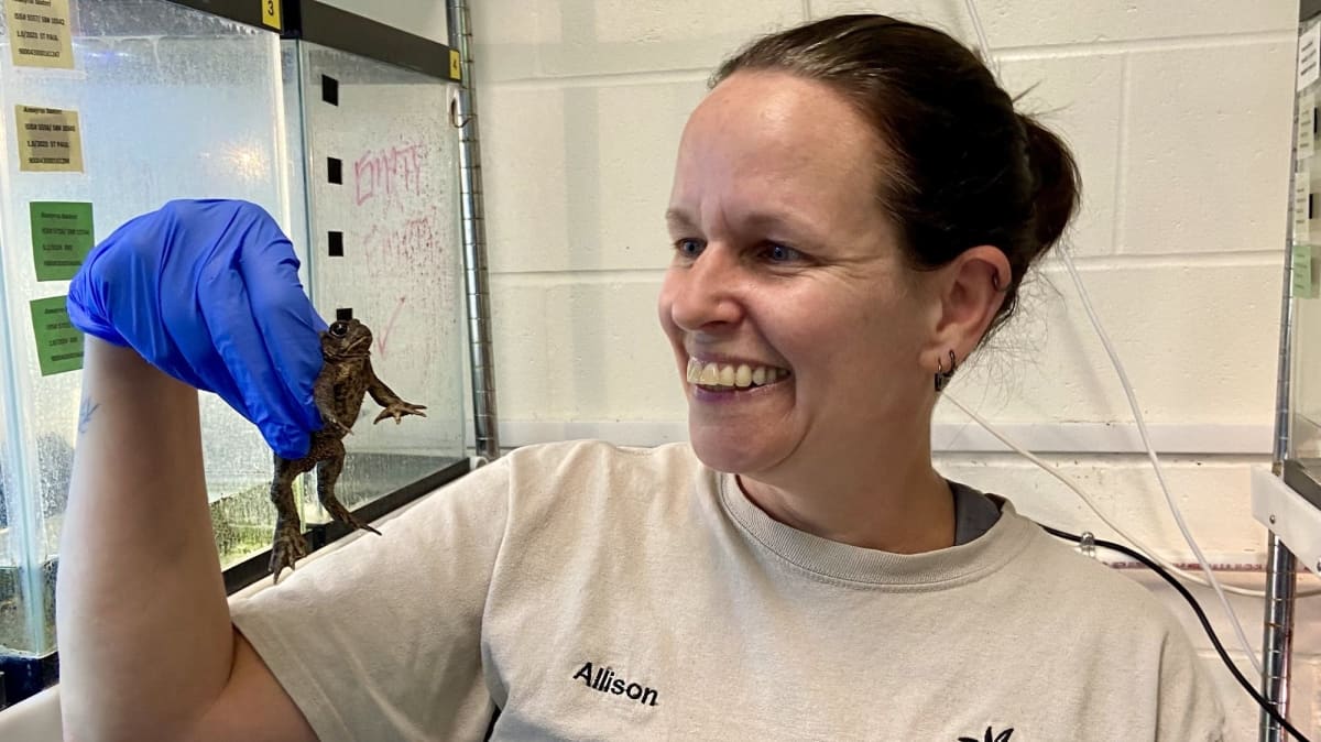 7 Zoos Team Up to Save Wyoming's Rarest Toad
