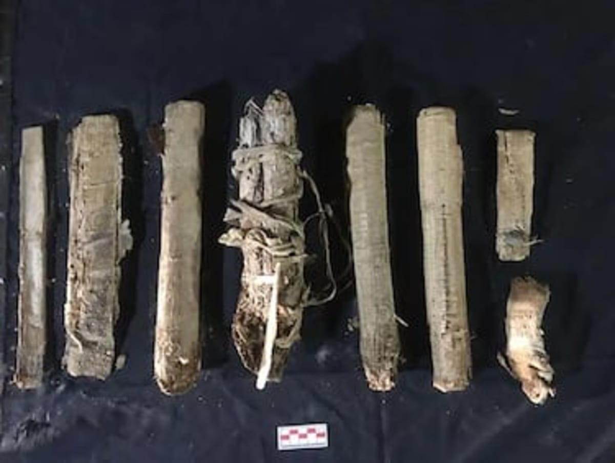 22 Ancient Egyptian Coffins Found Sealed After 3,000 Years - Image 3