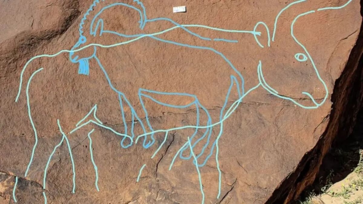 Ancient Rock Art Found 100 Feet Above Saudi Desert