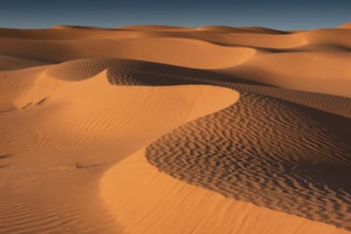 Sahara Was Green Paradise 8,700 Years Ago, Cave Shows - Image 3