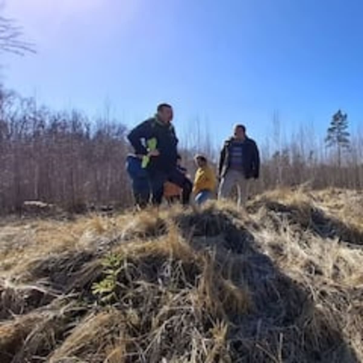 Everest Summit Was Ocean Floor 450 Million Years Ago - Image 3