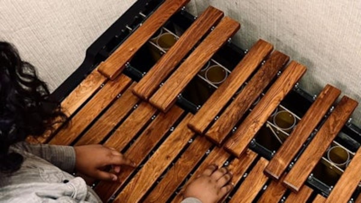 Student Finds Way to Make $25K Marimbas Affordable - Image 2