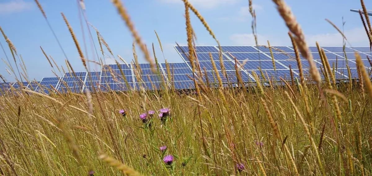 Britain's Solar Power Hits Record 14.4% in July 2026 - Image 3