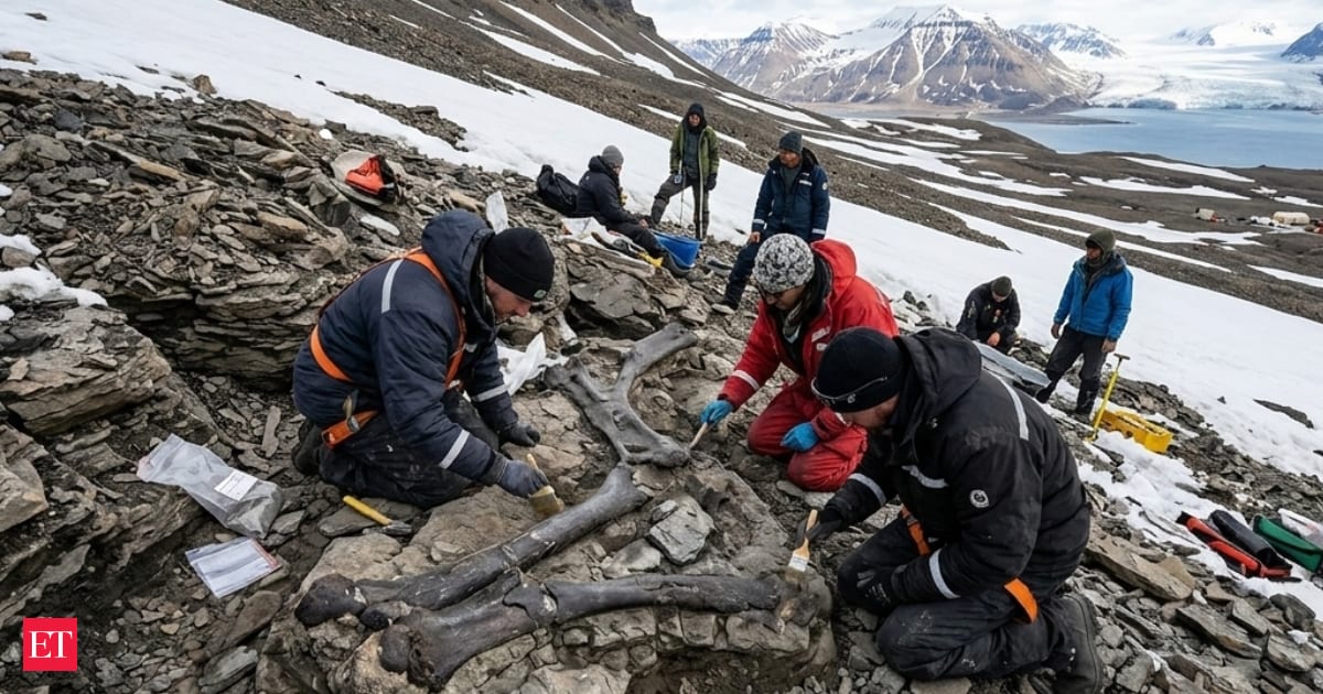 Arctic Fossils Reveal Ocean Life Rebounded in 3 Million Years