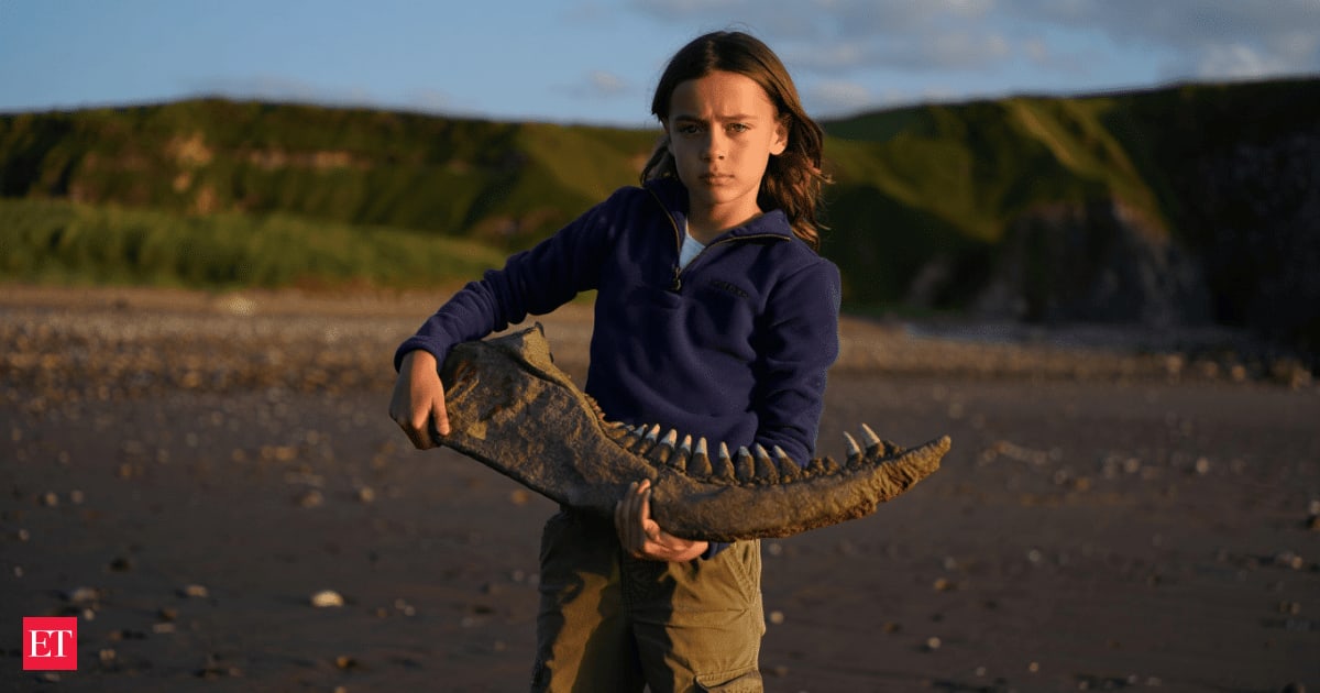 11-Year-Old Finds Jawbone of Earth's Largest Sea Creature