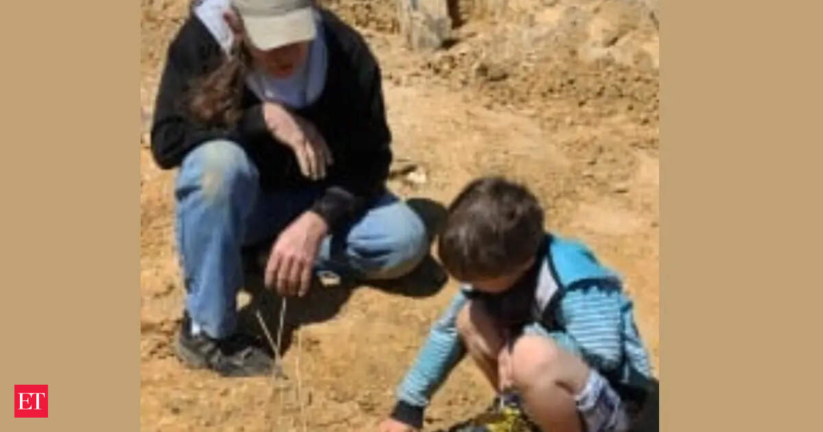 Fossil bones protruding from dirt at Texas construction site where child discovered rare nodosaur