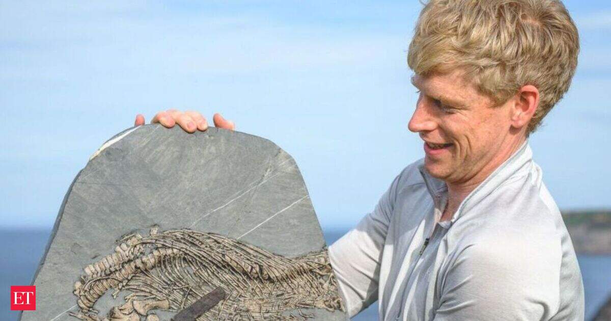Avalanche Survivor Discovers Wales' First Sea Dragon Fossil