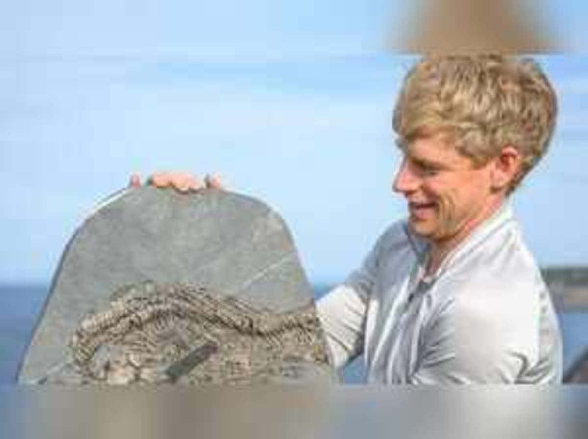 Avalanche Survivor Discovers Wales' First Sea Dragon Fossil - Image 2