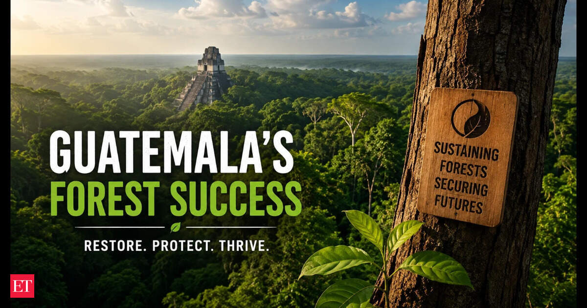 Guatemala Grows Central America's Largest Protected Forest