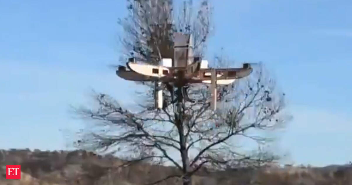 Drone flying over dry forest terrain dispersing biodegradable seed capsules over Argentina's Gran Chaco region