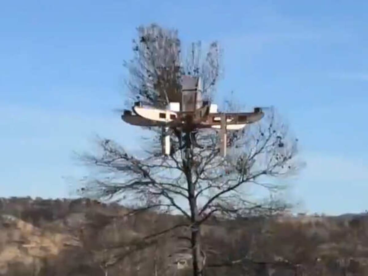 Drones Drop 8,000 Trees to Restore Argentina's Gran Chaco - Image 4