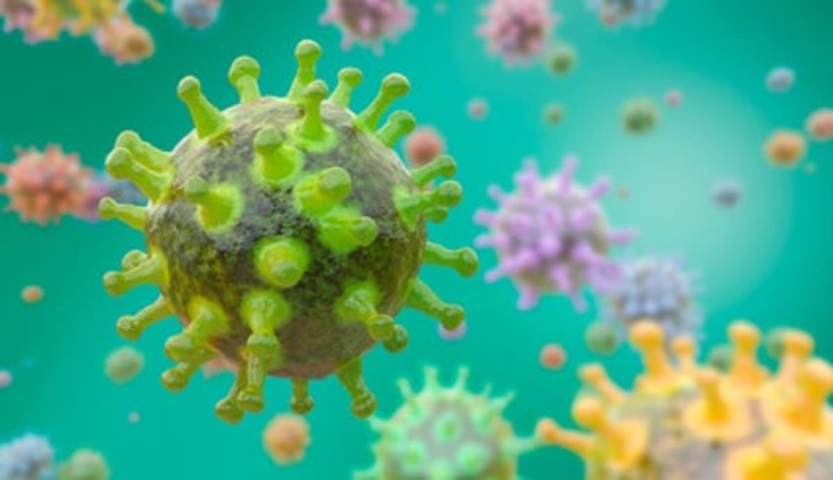 New Flu Shot 27% More Effective for Adults Over 50 - Image 4