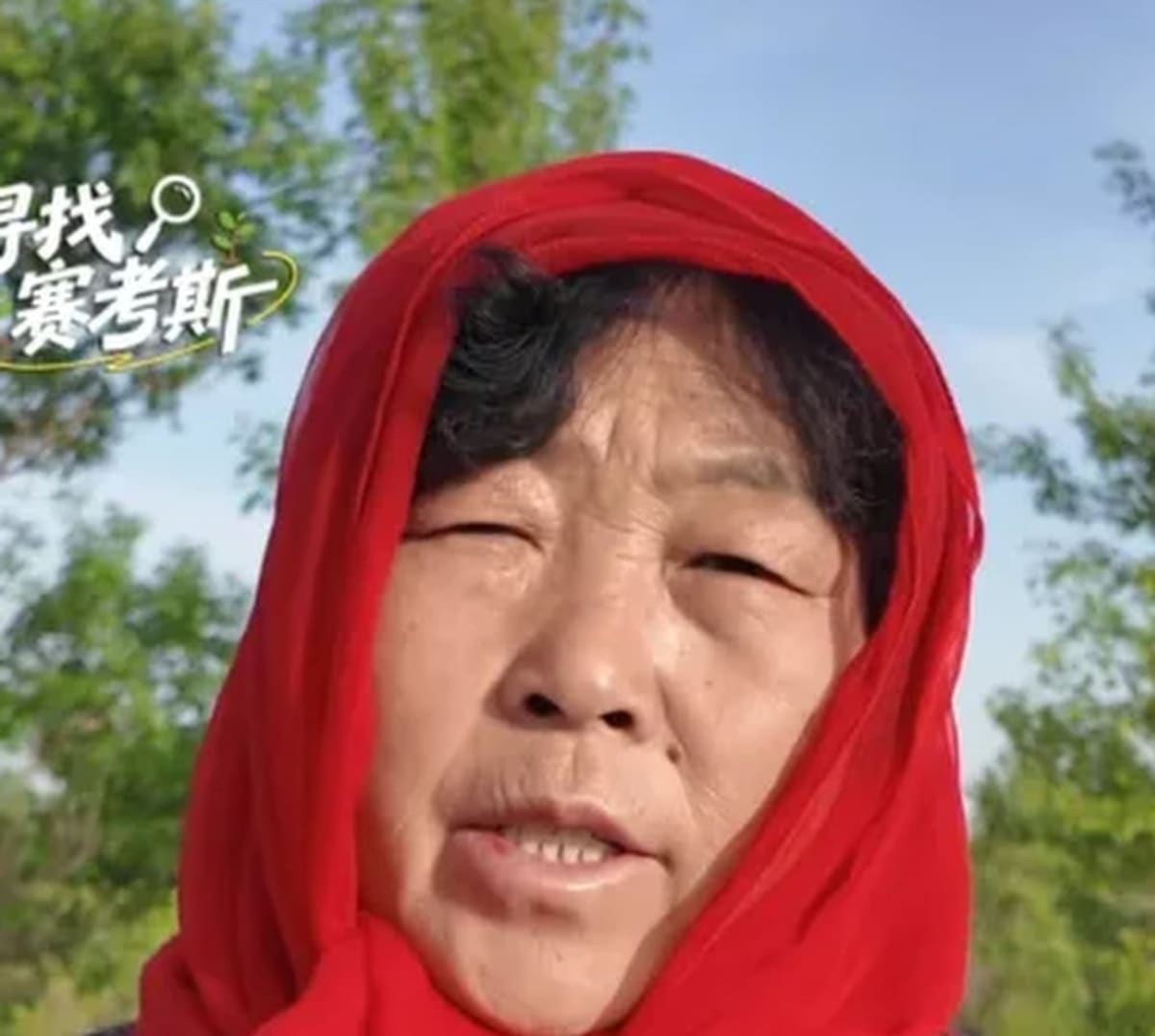 Teacher's $5K Gift Grows 50,000-Tree Forest in China - Image 4