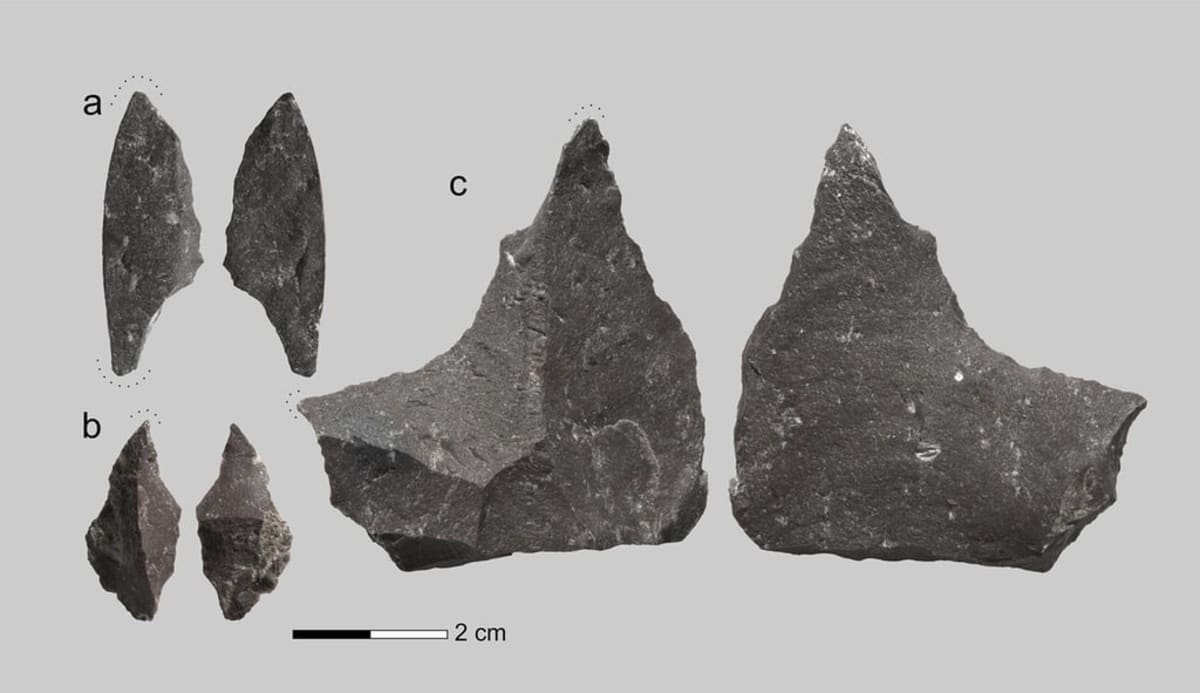 Neanderthals Performed Root Canals 60,000 Years Ago - Image 3