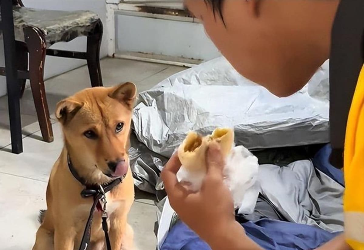 Teen Lives Under Bridge, Community Gives Him Fresh Start - Image 5