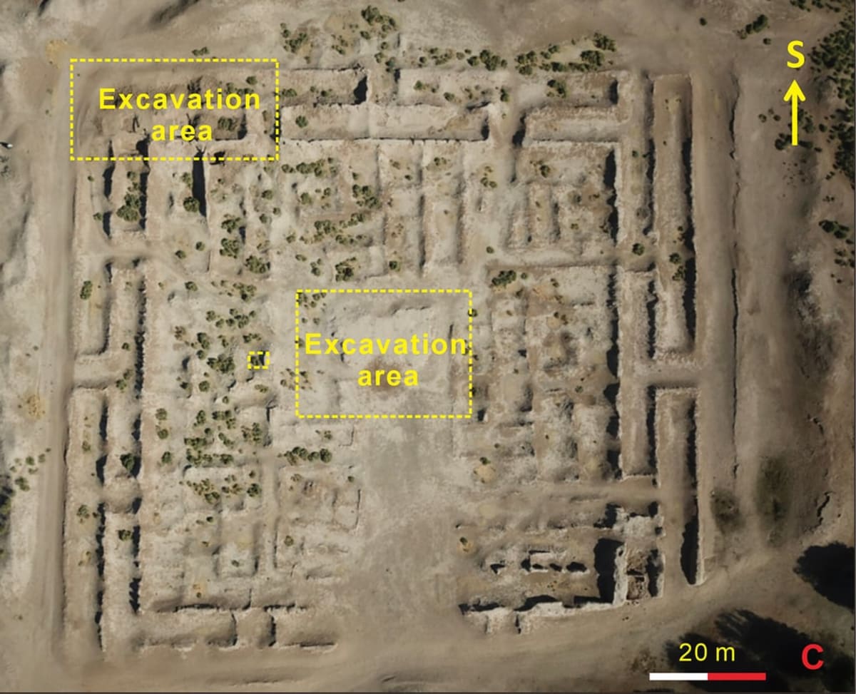 4,000-Year-Old Silk Cocoons Rewrite Ancient Trade History - Image 4