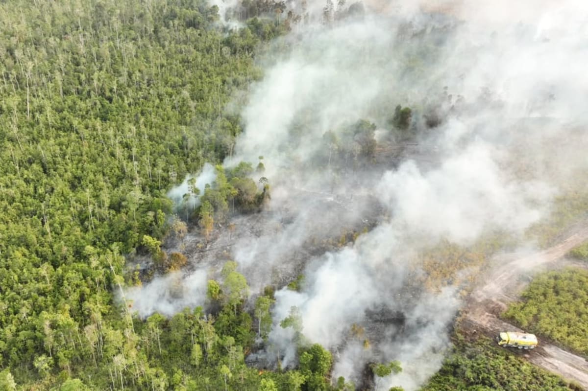 Indonesia Deploys 1,500 Troops to Battle Borneo Wildfires - Image 4
