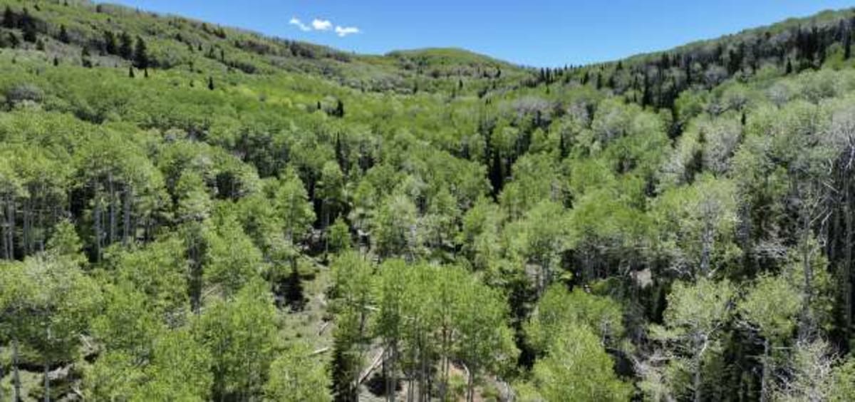 16 Utah Cities Choose Clean Energy for 370,000 Residents - Image 4
