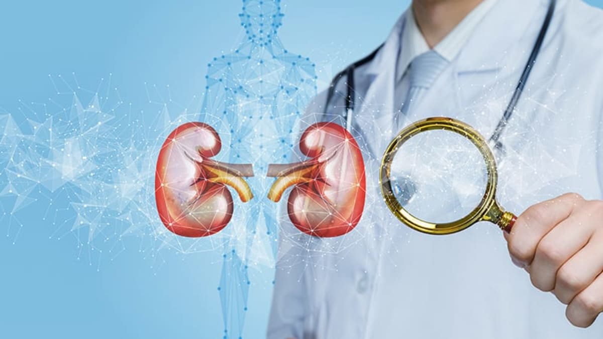 Medical researcher examining kidney disease treatment data in modern laboratory setting