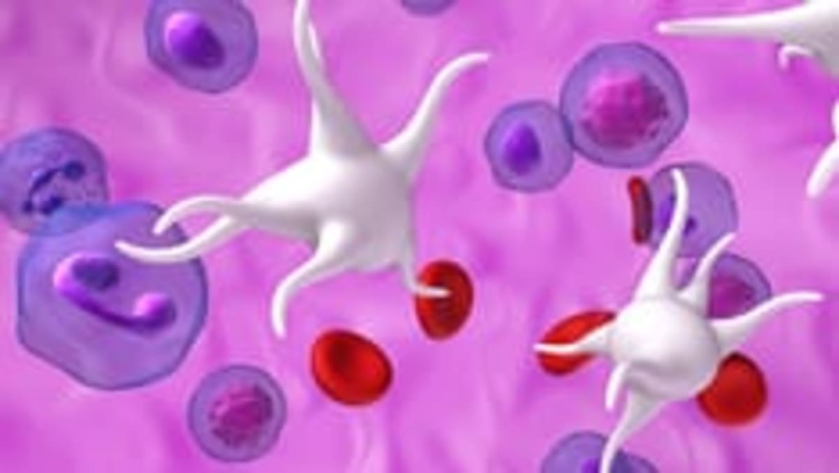 First New Treatment for Rare Blood Disorder in 30 Years - Image 2