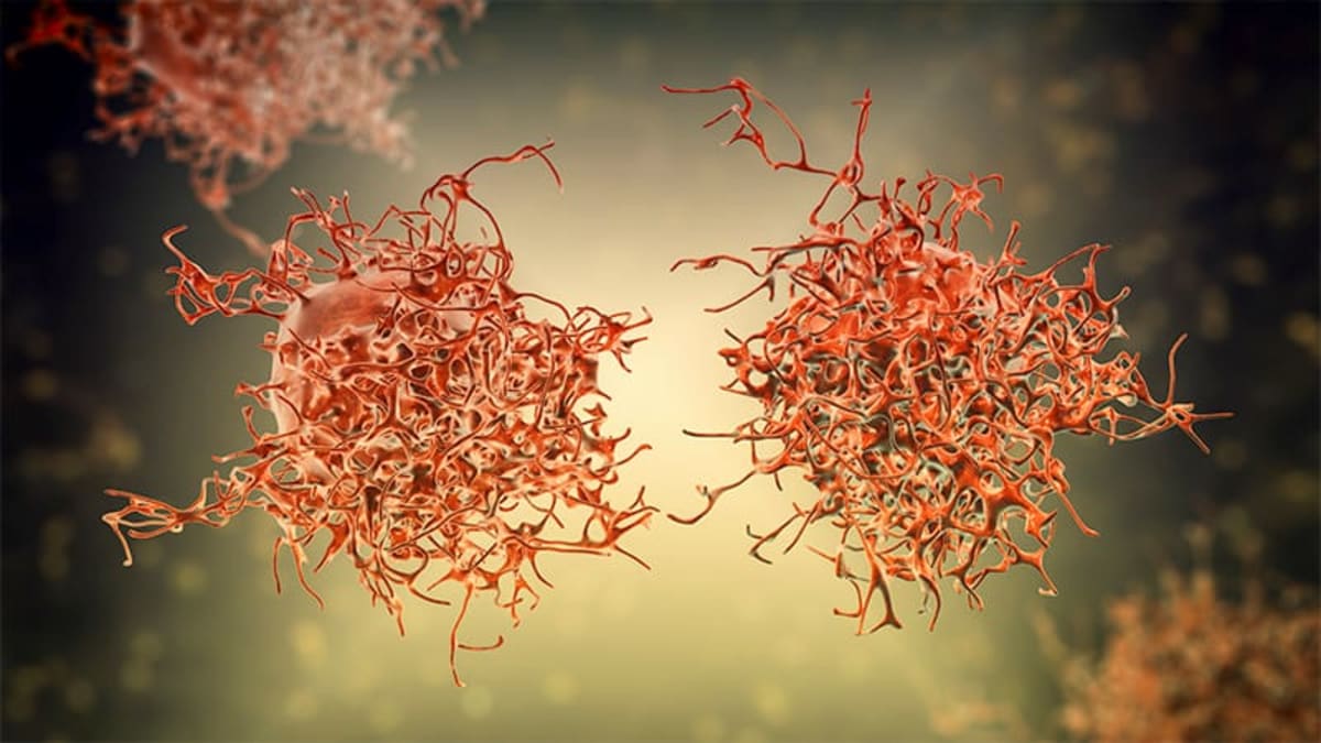 New Cervical Cancer Drug Extends Lives by 2 Months