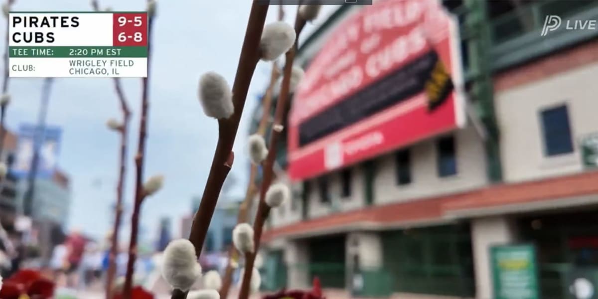 Baseball broadcast graphics showing Masters Tournament-inspired green and gold design at Wrigley Field