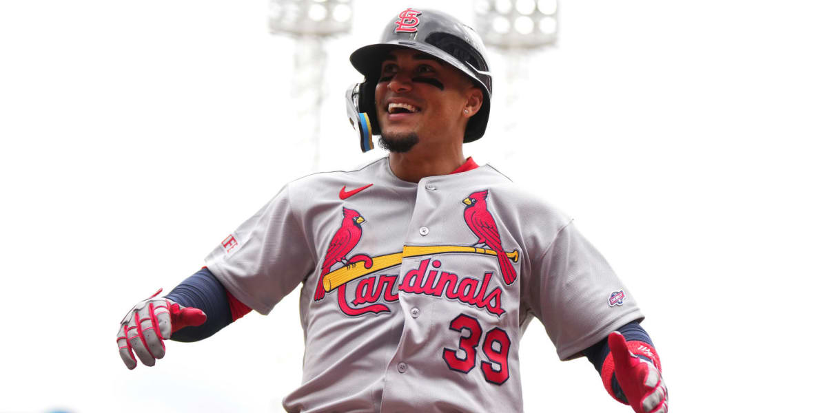 Bryan Torres in St. Louis Cardinals uniform celebrating after hitting home run in MLB debut