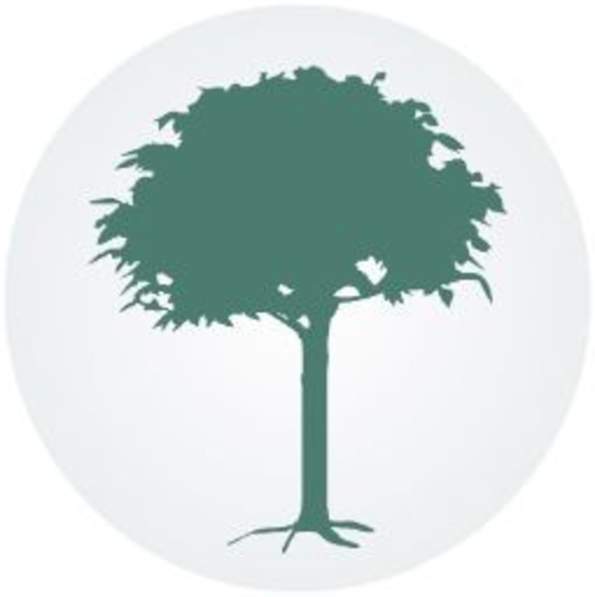 Chilean Students Learn Green Hydrogen Using Virtual Reality - Image 2