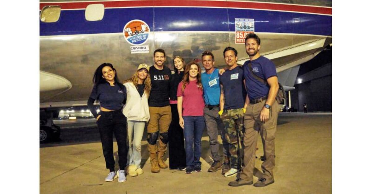 112 Shelter Pets Fly to Safety Hours Before Euthanasia - Image 2