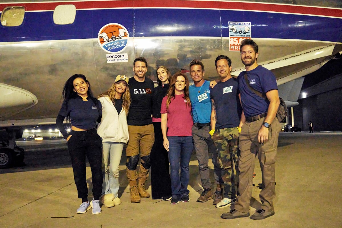 112 Shelter Pets Fly to Safety Hours Before Euthanasia - Image 3