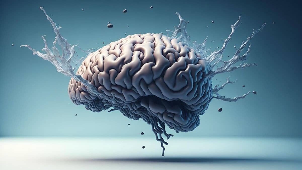 Scientists Find Hidden Brain Drain System Using MRI Scans