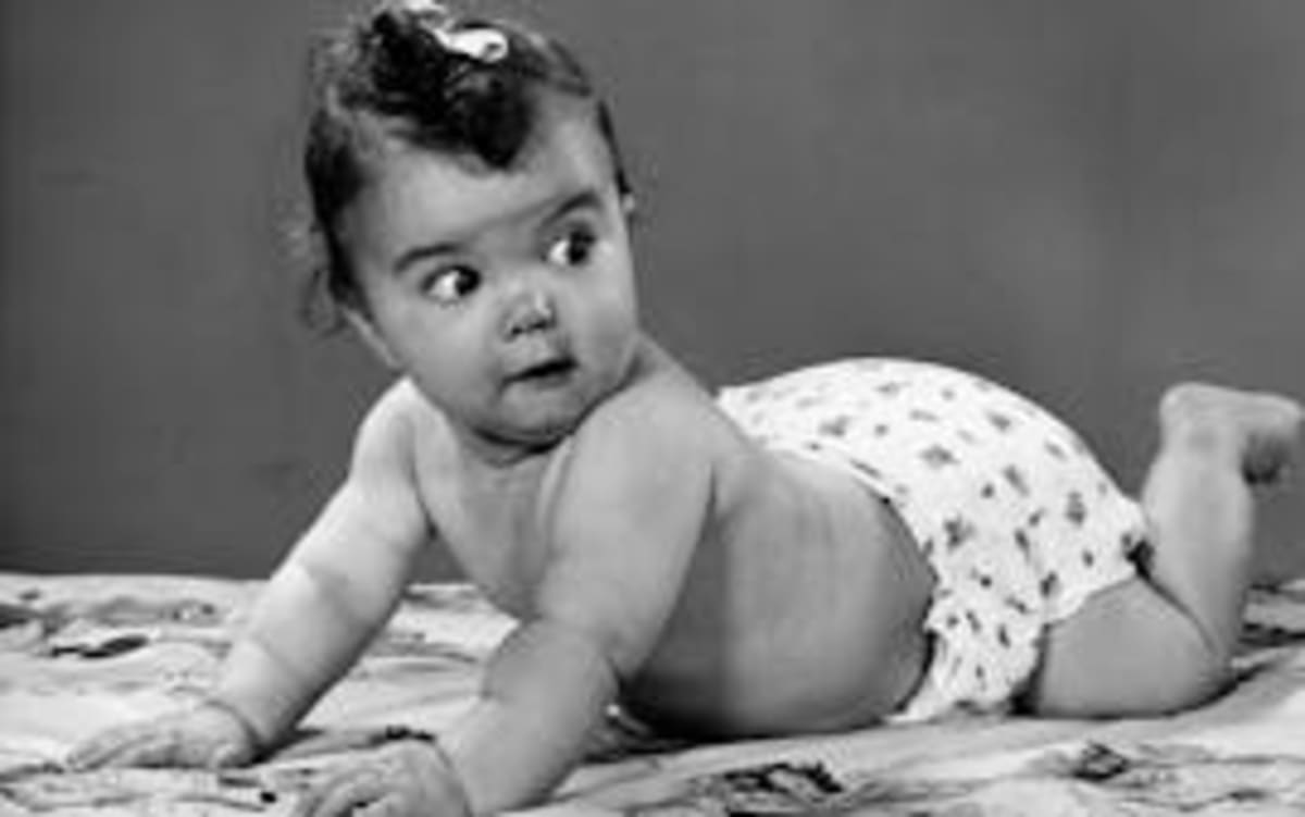 Mining Company Rescues 3,000 Endangered Cacti in Texas - Image 5