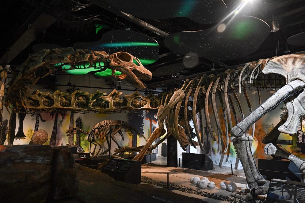 Life-size skeleton model of Nagatitan chaiyaphumensis dinosaur displayed at Bangkok museum