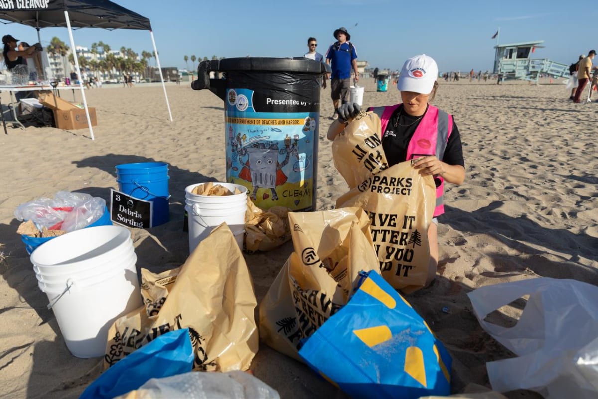 Volunteers sorting collected waste and debris during record-breaking beach cleanup at Venice Beach